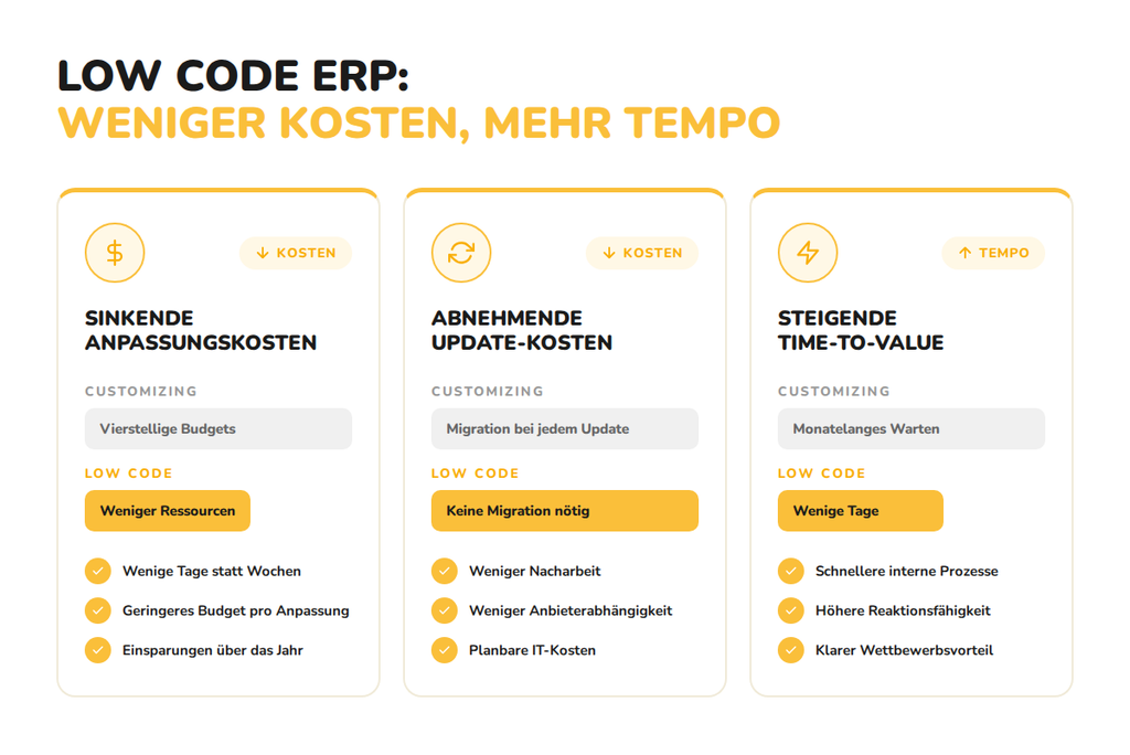 Infografik zu Low-Code-ERP: Vorteile wie sinkende Anpassungskosten und schnellere Time-to-Value mit APplus von Asseco Solutions.